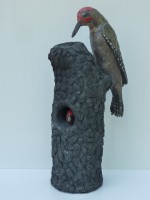 /album/animaux-divers/pic-vert-2-jpg/